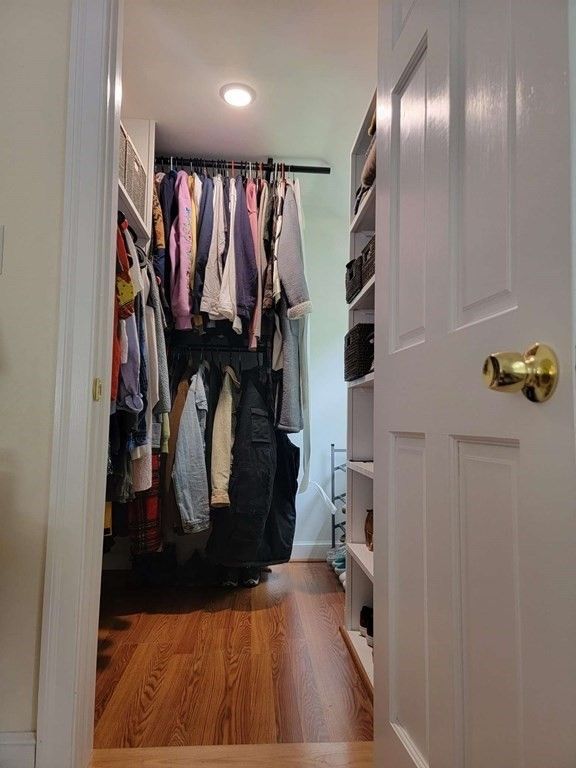 Interior, Recessed Lighting, Walk-in Closets, Wood Texture Flooring