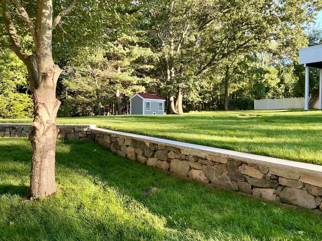 Backyard, Detached Garage, Exterior