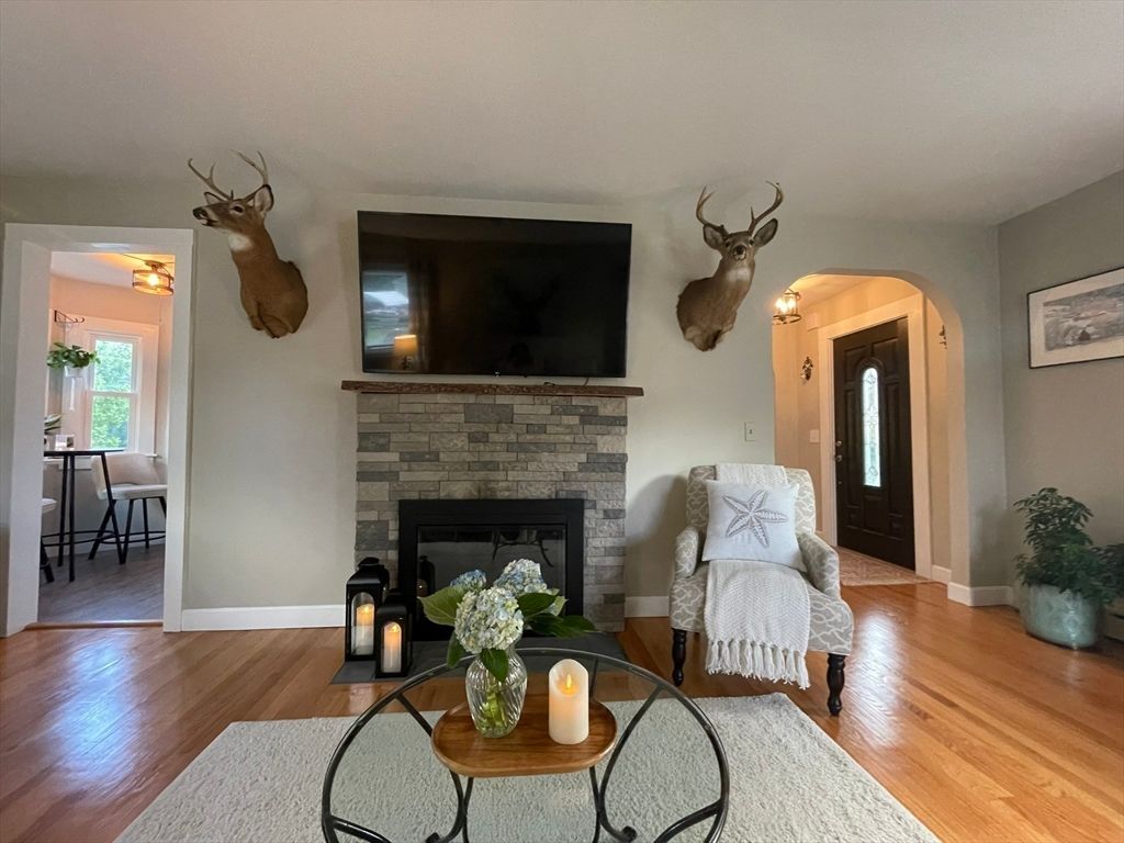Fireplace, Interior, Wood Texture Flooring