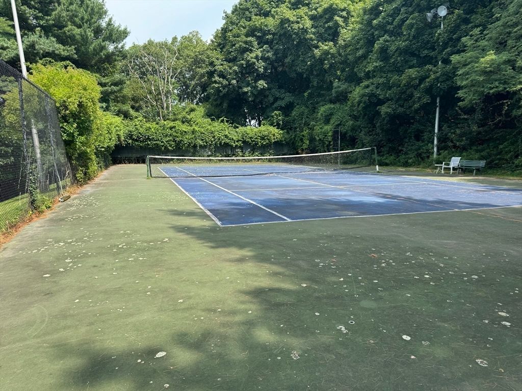 Exterior, Tennis Courts