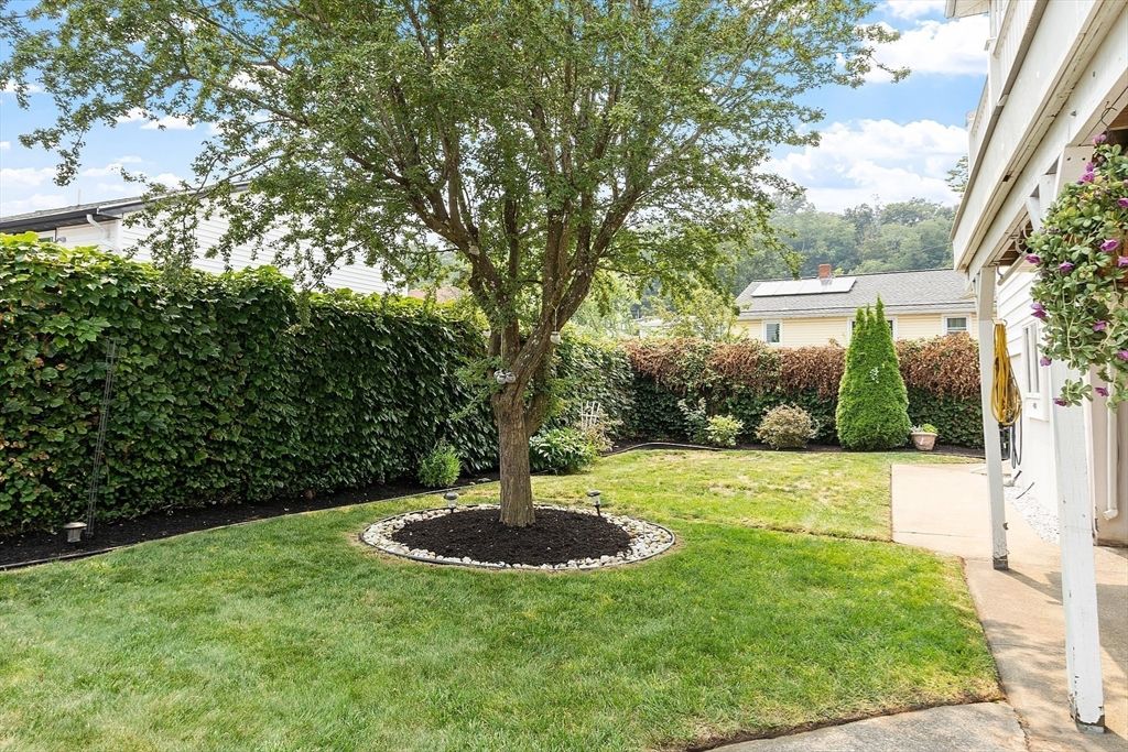 Backyard, Exterior, Solar Panels
