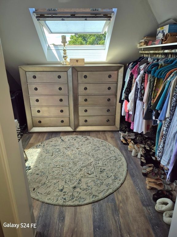 Interior, Walk-in Closets, Wood Texture Flooring