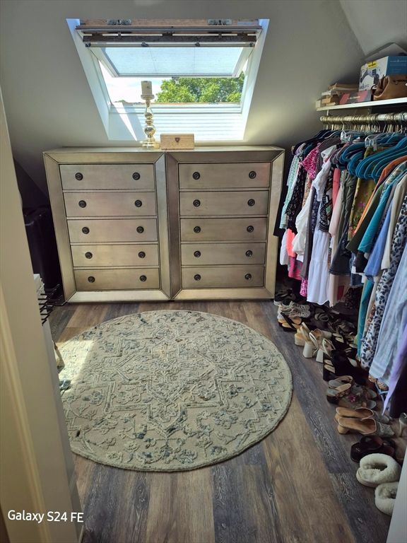 Interior, Walk-in Closets, Wood Texture Flooring