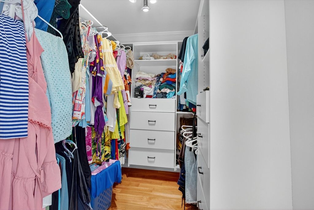 Interior, Walk-in Closets, Wood Texture Flooring