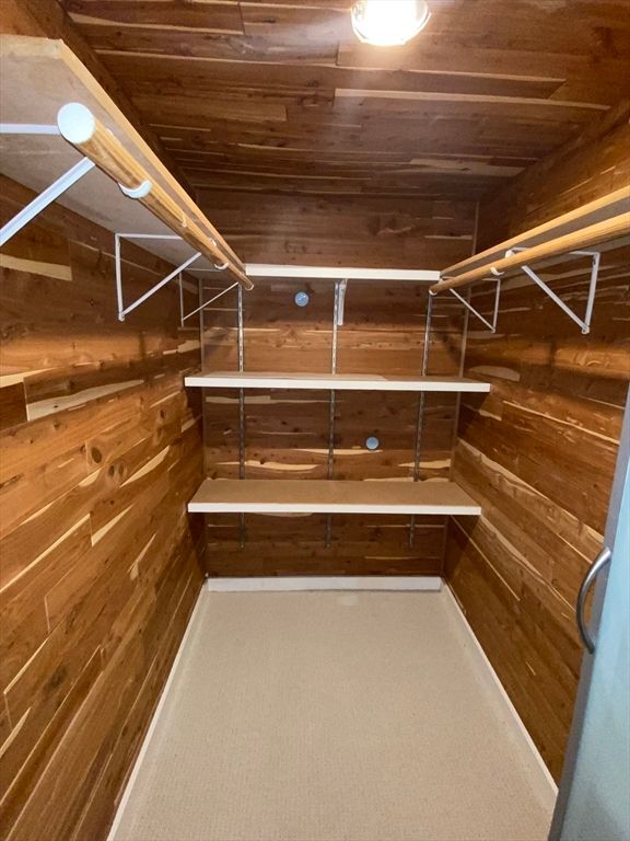 Interior, Walk-in Closets, Wooden Ceilings, Wooden Walls