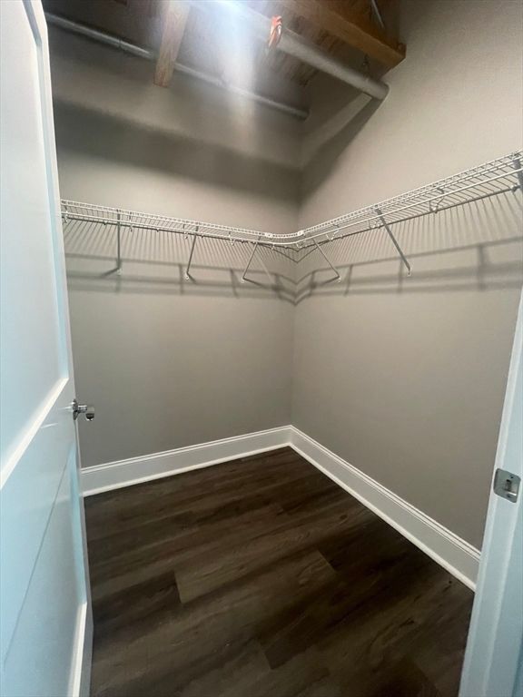 Interior, Walk-in Closets, Wood Texture Flooring