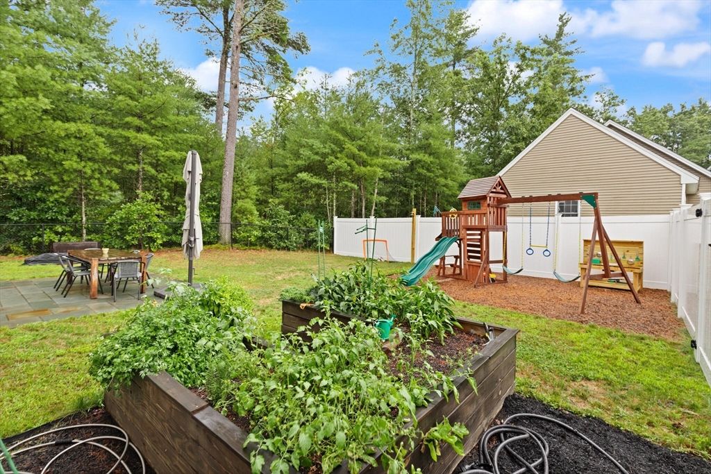 Backyard, Exterior, Playground