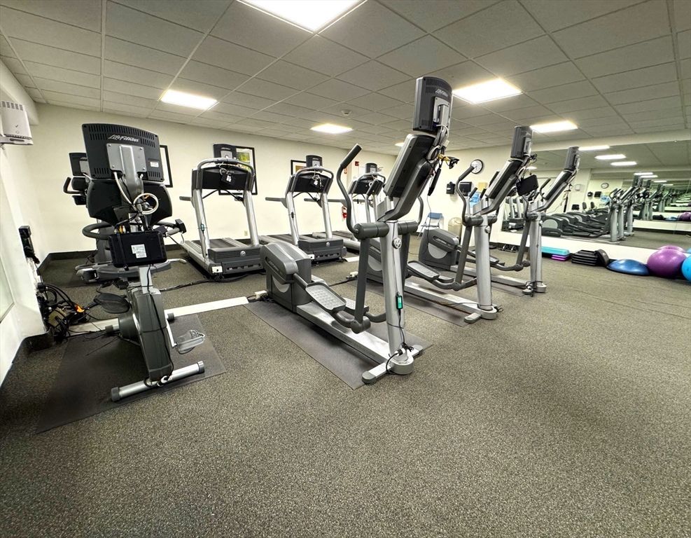 Fitness Equipment, Gym, Interior, Recessed Lighting