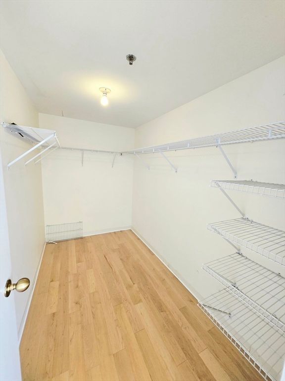 Interior, Walk-in Closets, Wood Texture Flooring