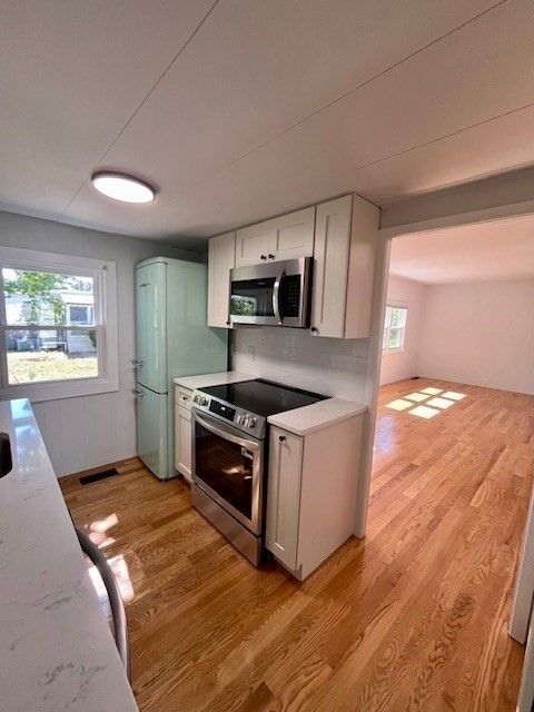 Interior, Kitchen, Stainless Steel Appliances, Wood Texture Flooring