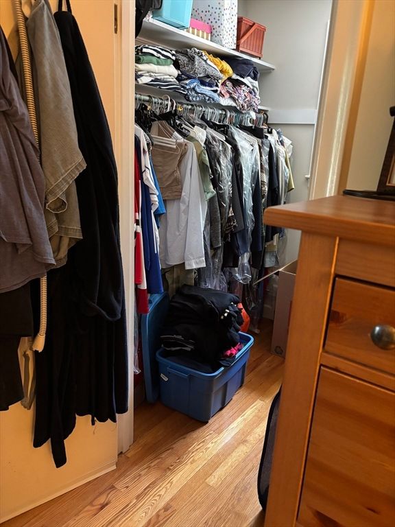 Interior, Walk-in Closets, Wood Texture Flooring