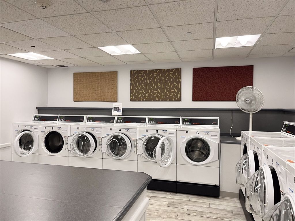 Interior, Recessed Lighting, Washer, Wood Texture Flooring