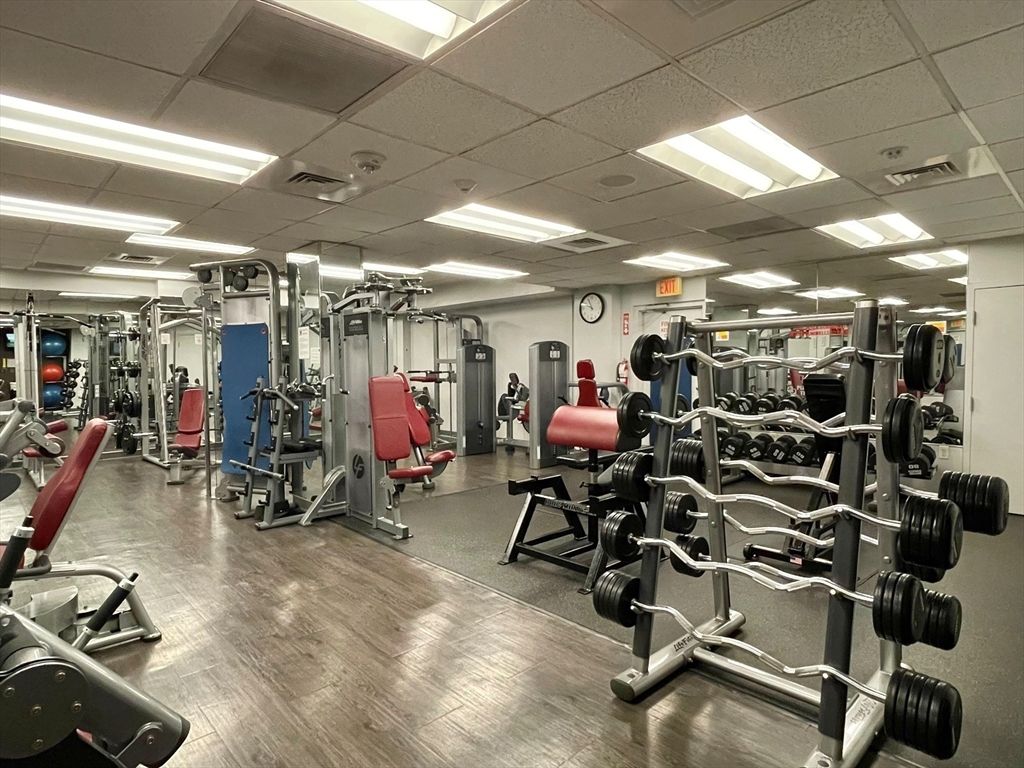 Fitness Equipment, Gym, Interior, Recessed Lighting, Wood Texture Flooring