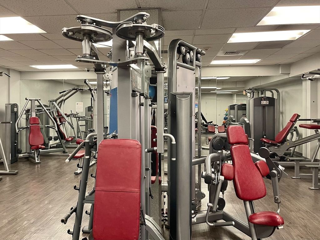 Fitness Equipment, Gym, Interior, Recessed Lighting, Wood Texture Flooring