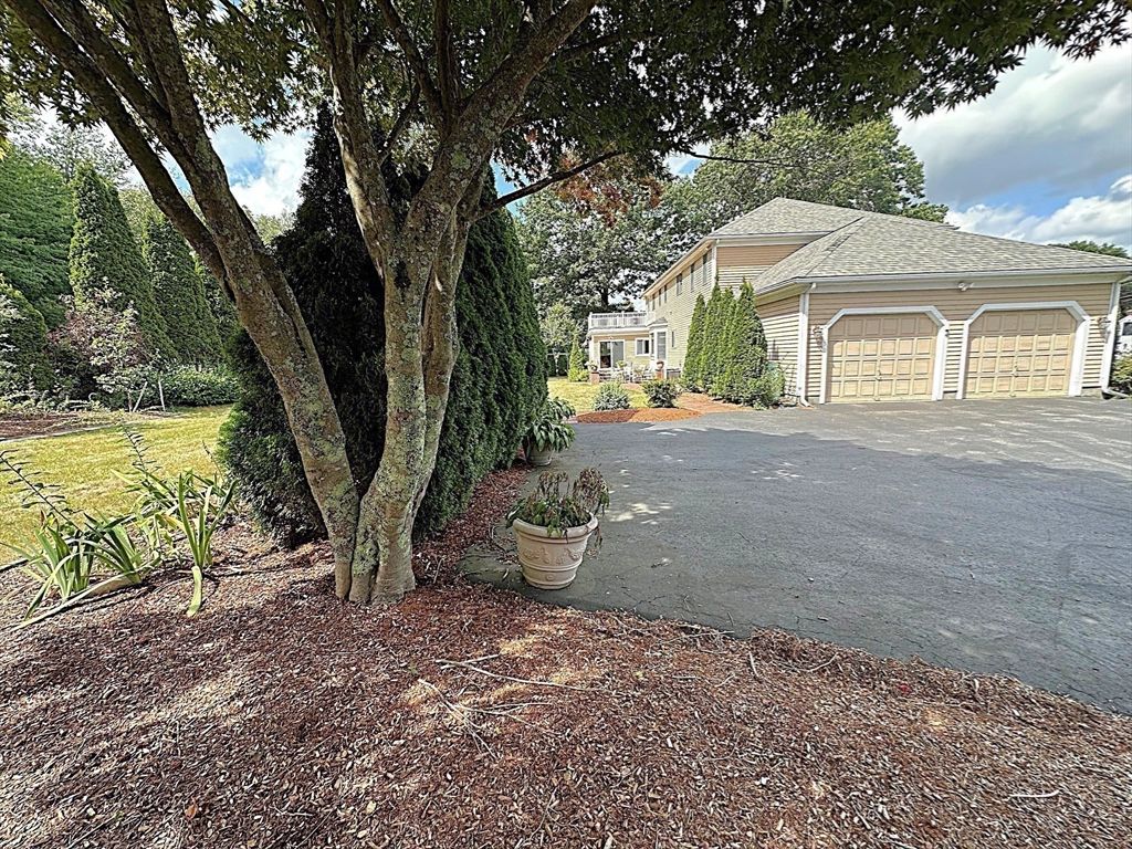 Backyard, Detached Garage, Exterior