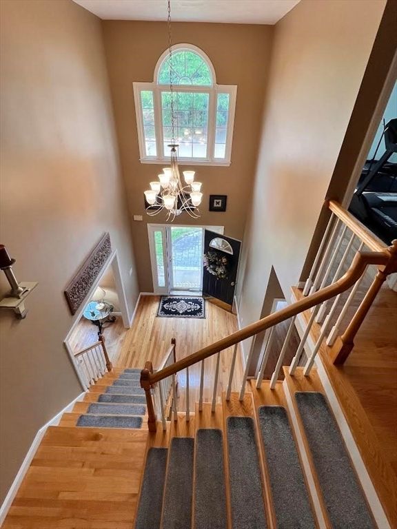 Chandelier, Interior, Wood Texture Flooring