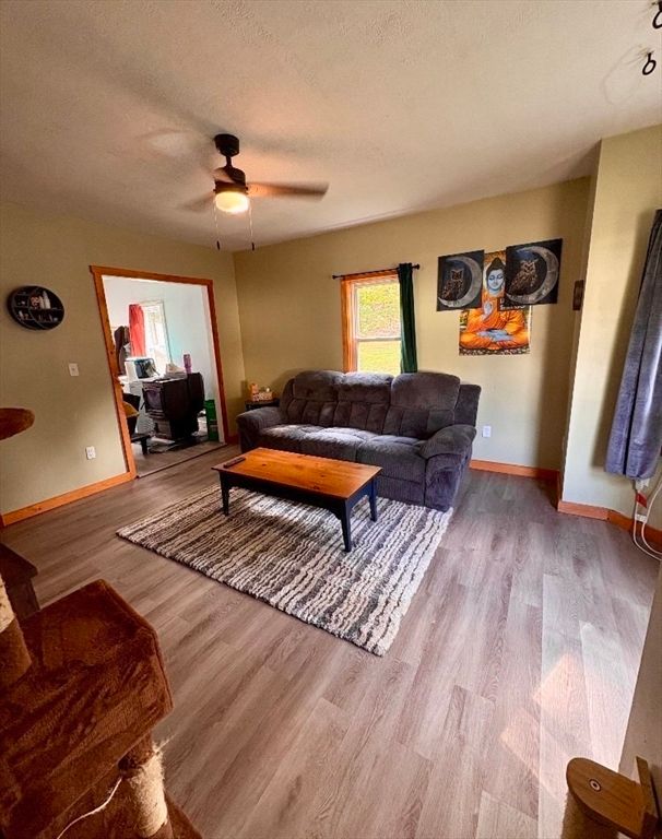 Interior, Living room, Wood Texture Flooring