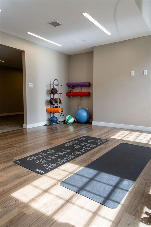 Fitness Equipment, Interior, Recessed Lighting, Wood Texture Flooring