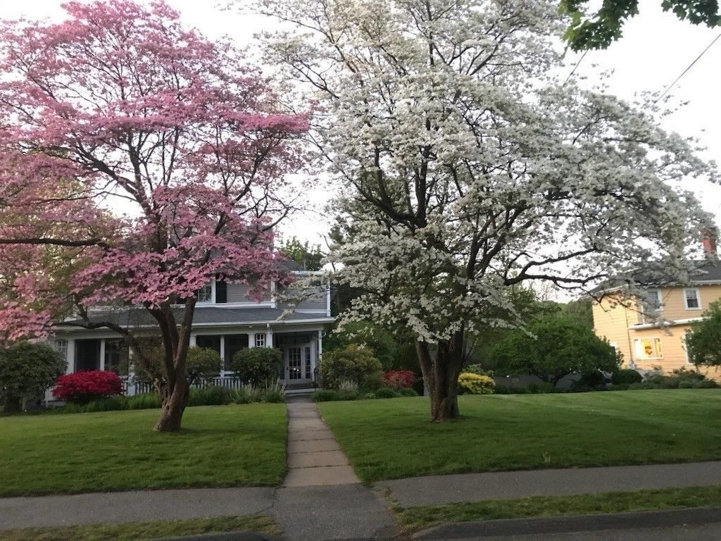Exterior, Facade, Cape Cod