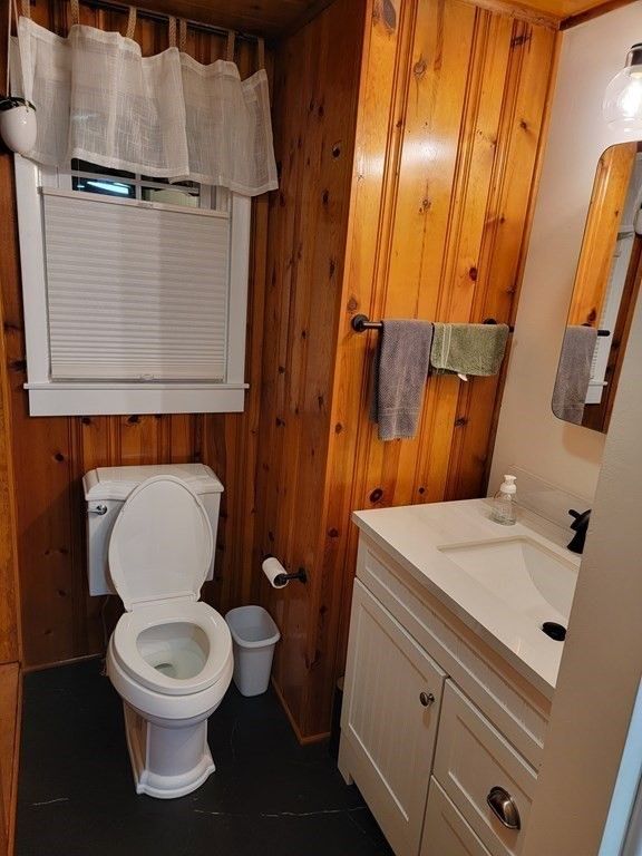 Bathroom, Interior, Wooden Walls