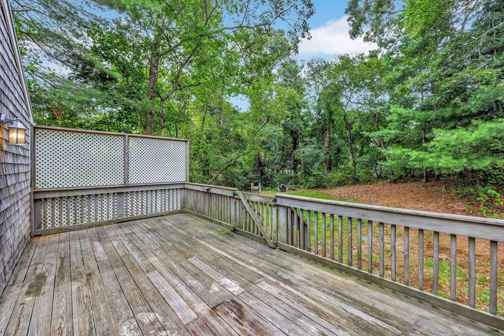 Backyard, Exterior, Wood Texture Flooring