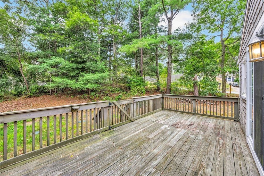 Exterior, Wood Texture Flooring