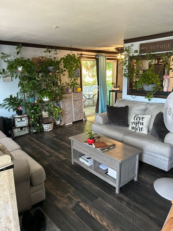 Interior, Living room, Wood Texture Flooring
