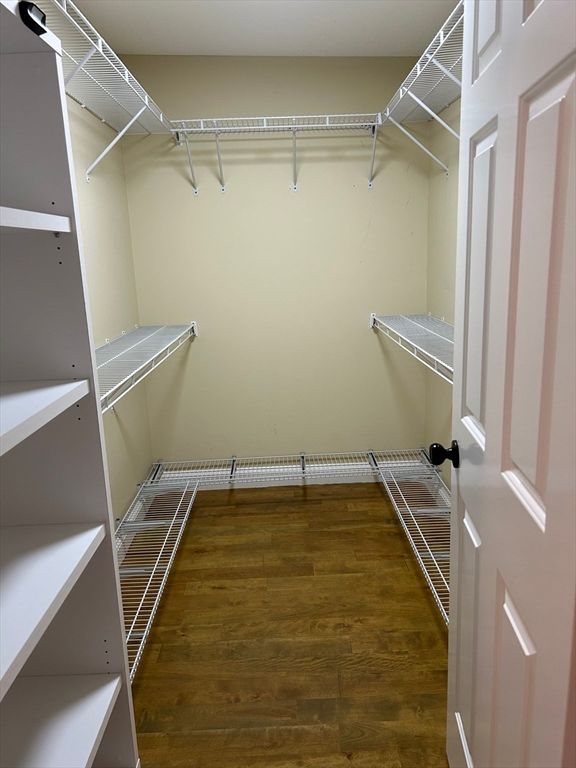 Interior, Walk-in Closets, Wood Texture Flooring