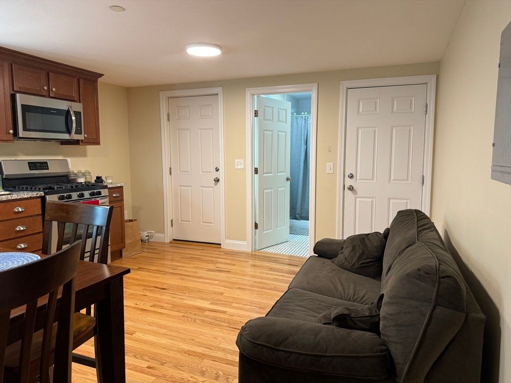 Interior, Kitchen, Living room, Recessed Lighting, Stainless Steel Appliances, Wood Texture Flooring