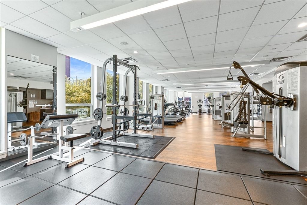 Fitness Equipment, Gym, Interior, Recessed Lighting, Wood Texture Flooring