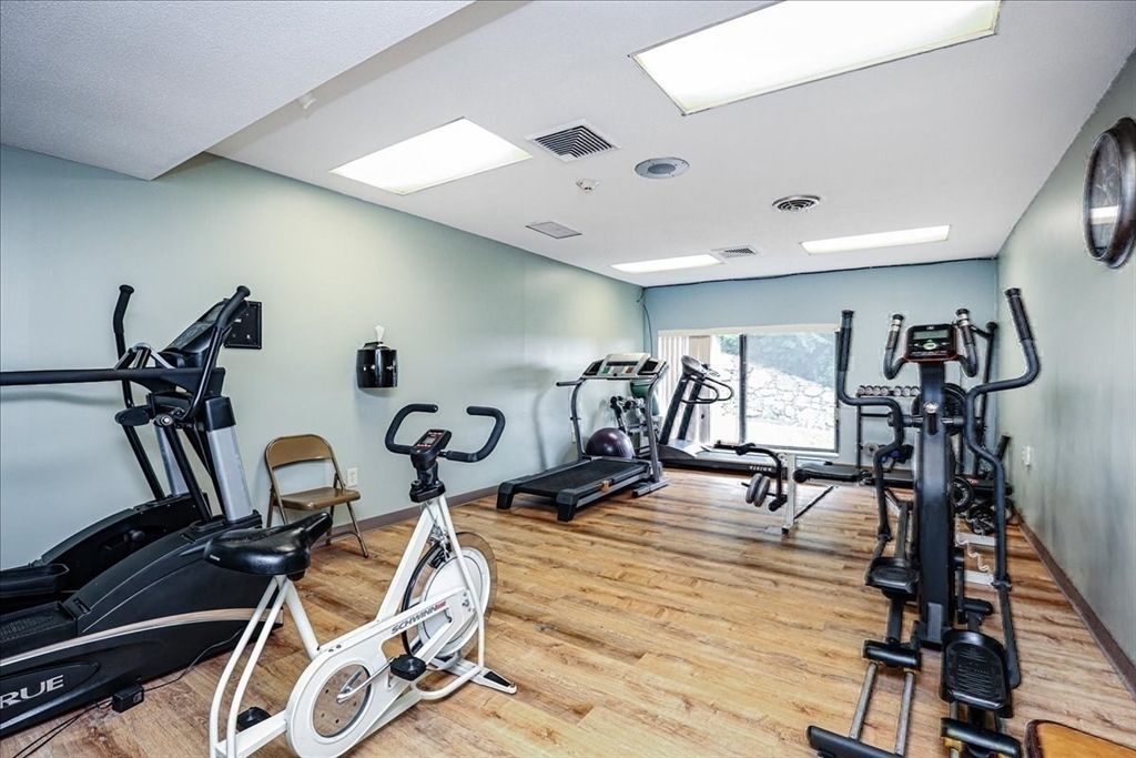Fitness Equipment, Interior, Recessed Lighting, Wood Texture Flooring