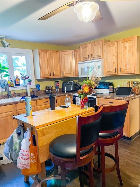 Interior, Kitchen, Wood Texture Flooring