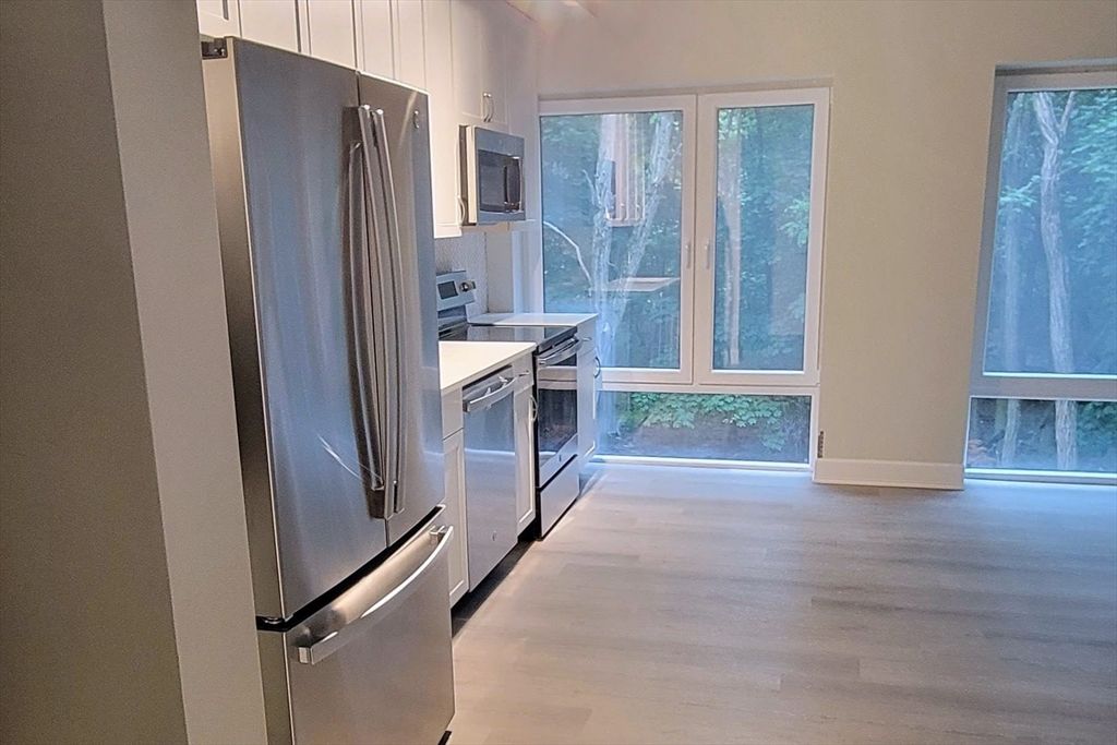 Interior, Kitchen, Stainless Steel Appliances, Wood Texture Flooring