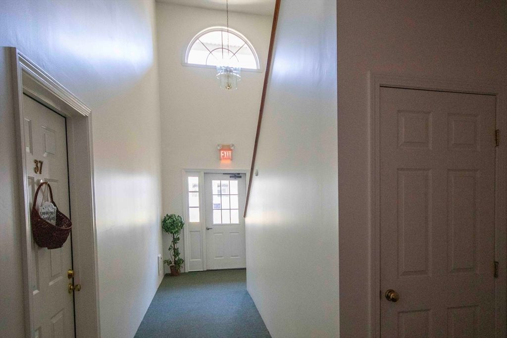 Interior, Pendant Lights