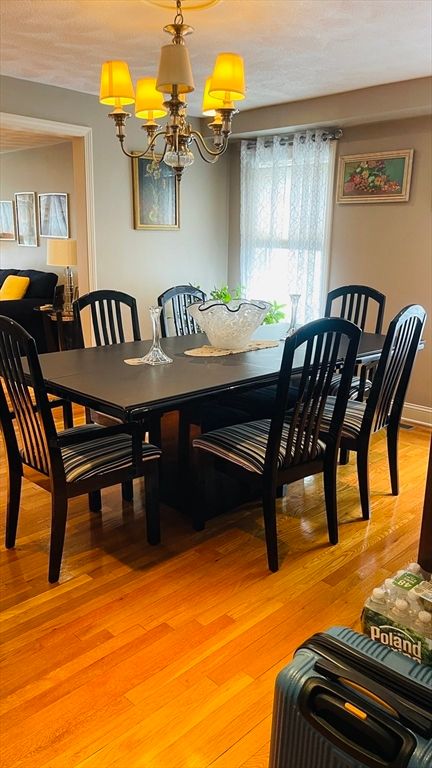 Chandelier, Dining room, Interior, Wood Texture Flooring