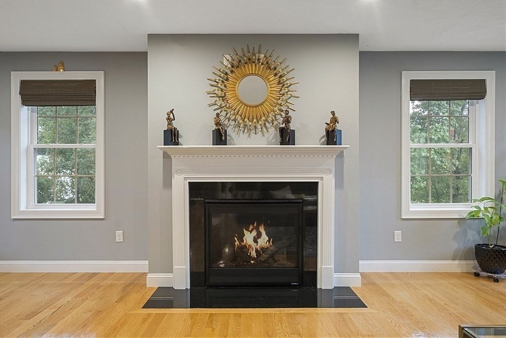 Fireplace, Interior, Wood Texture Flooring