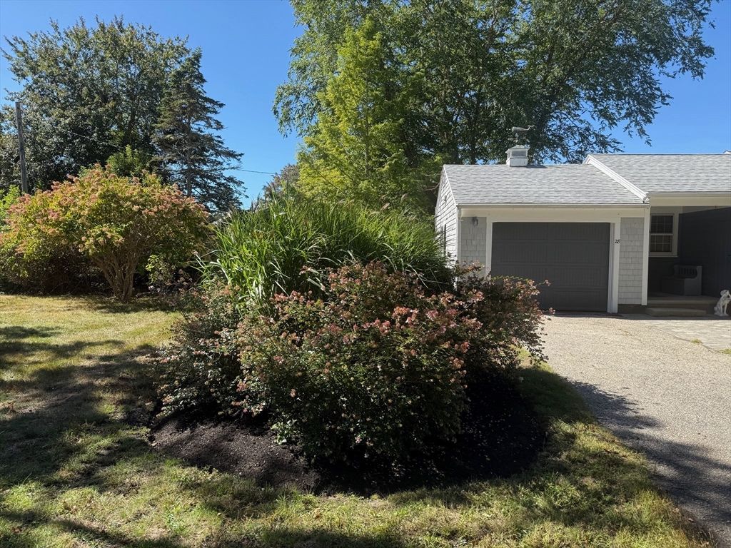 Backyard, Detached Garage, Exterior