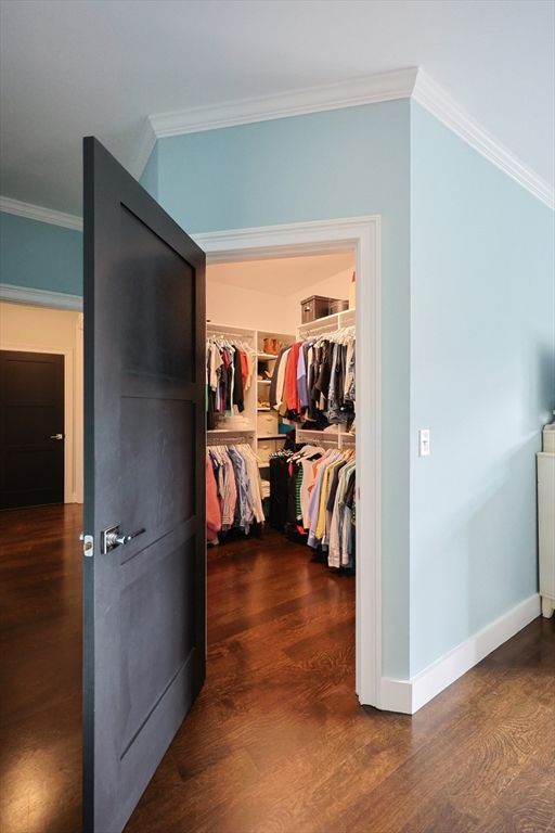 Interior, Walk-in Closets, Wood Texture Flooring