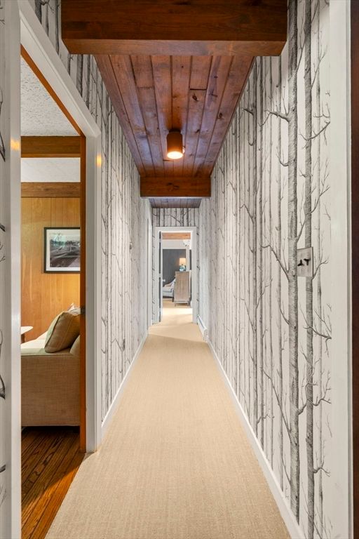 Interior, Wooden Ceilings, Wood Texture Flooring, Wooden Walls