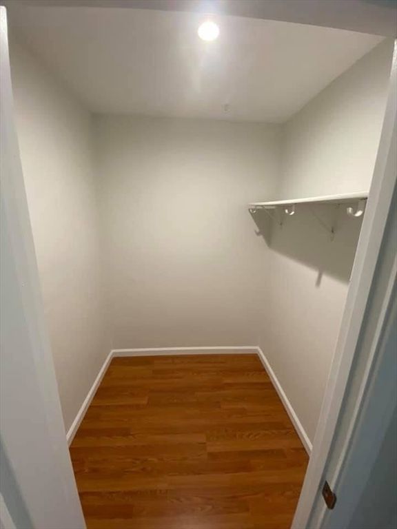 Interior, Recessed Lighting, Walk-in Closets, Wood Texture Flooring