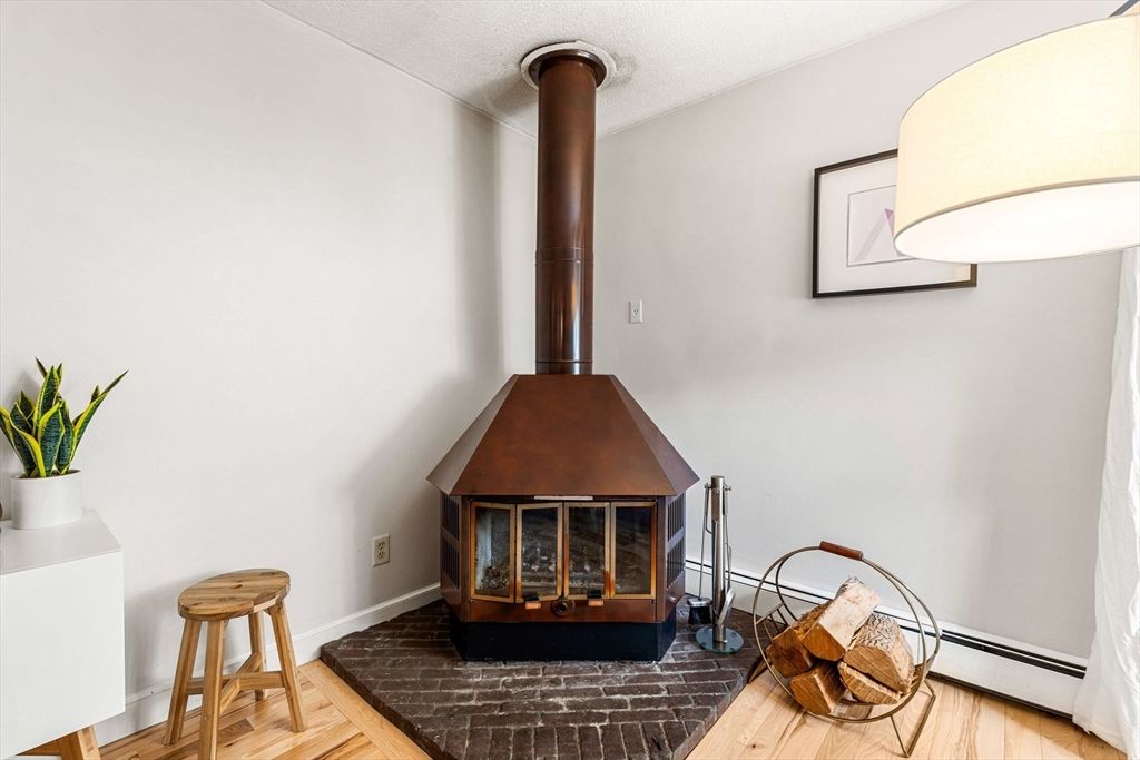Fireplace, Interior, Wood Texture Flooring