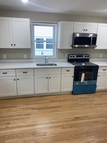Interior, Kitchen, Stainless Steel Appliances, Wood Texture Flooring