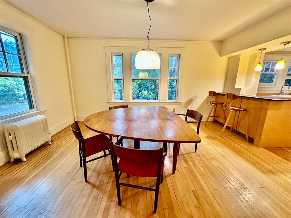 Dining room, Interior, Pendant Lights, Wood Texture Flooring