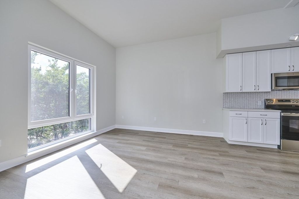 Empty room, Interior, Kitchen, Stainless Steel Appliances, Wood Texture Flooring