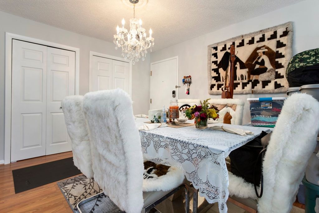 Chandelier, Interior, Wood Texture Flooring