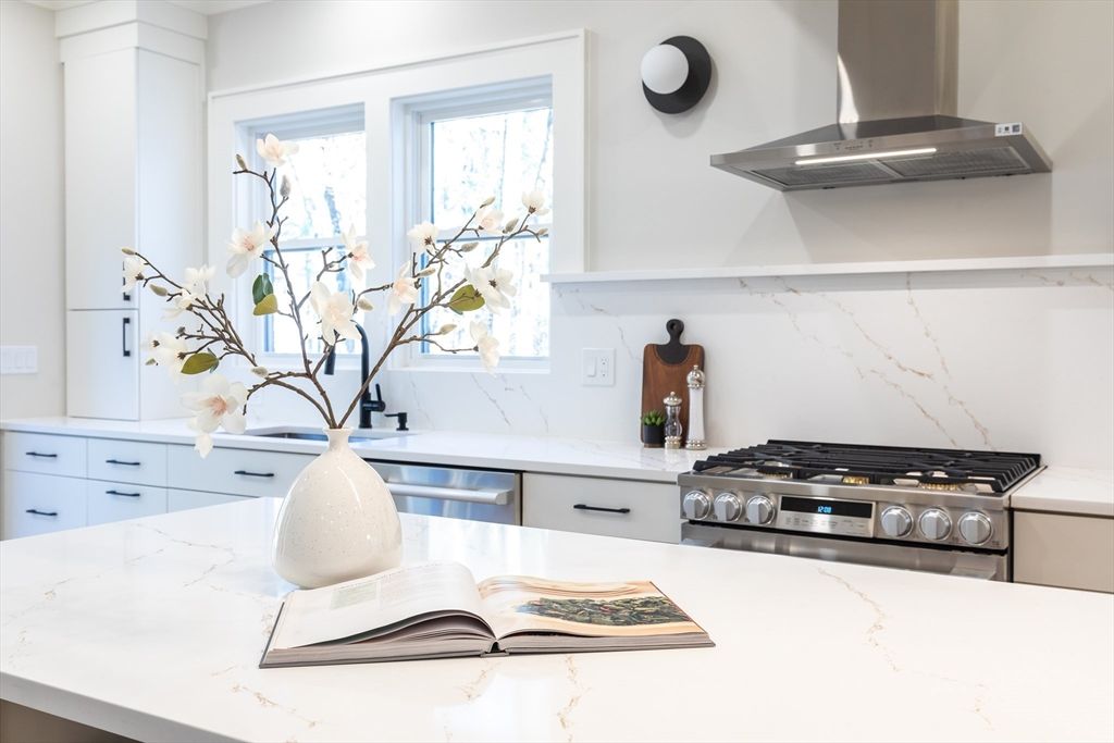 Interior, Kitchen, Marble Walls, Stainless Steel Appliances