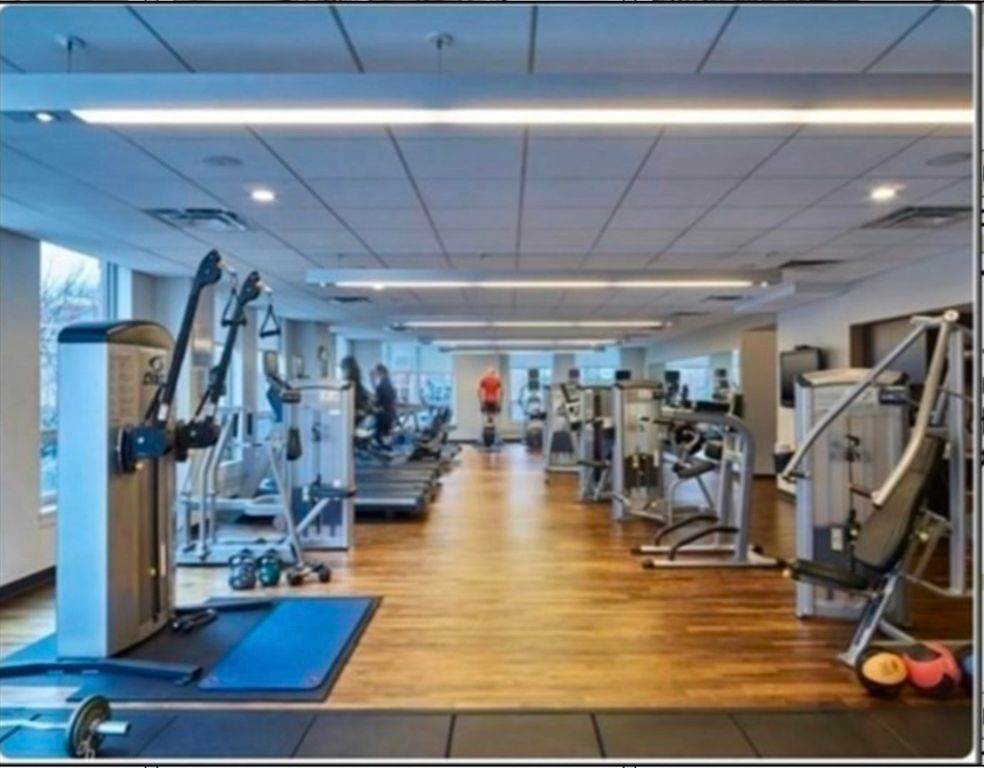 Fitness Equipment, Gym, Interior, Recessed Lighting, Wood Texture Flooring