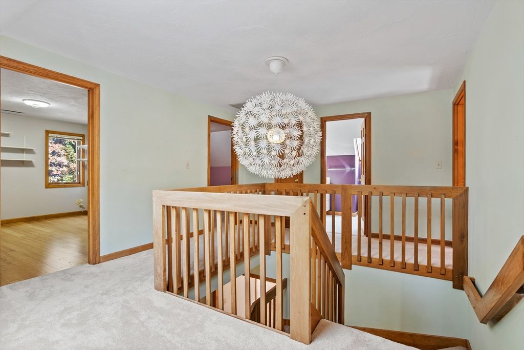 Chandelier, Interior, Wood Texture Flooring