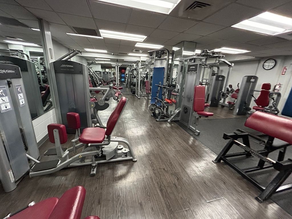 Fitness Equipment, Gym, Interior, Recessed Lighting, Wood Texture Flooring