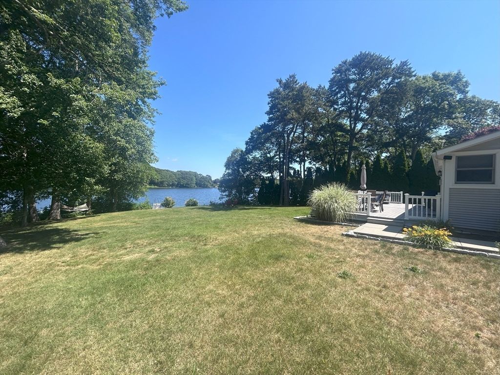Backyard, Exterior, Water